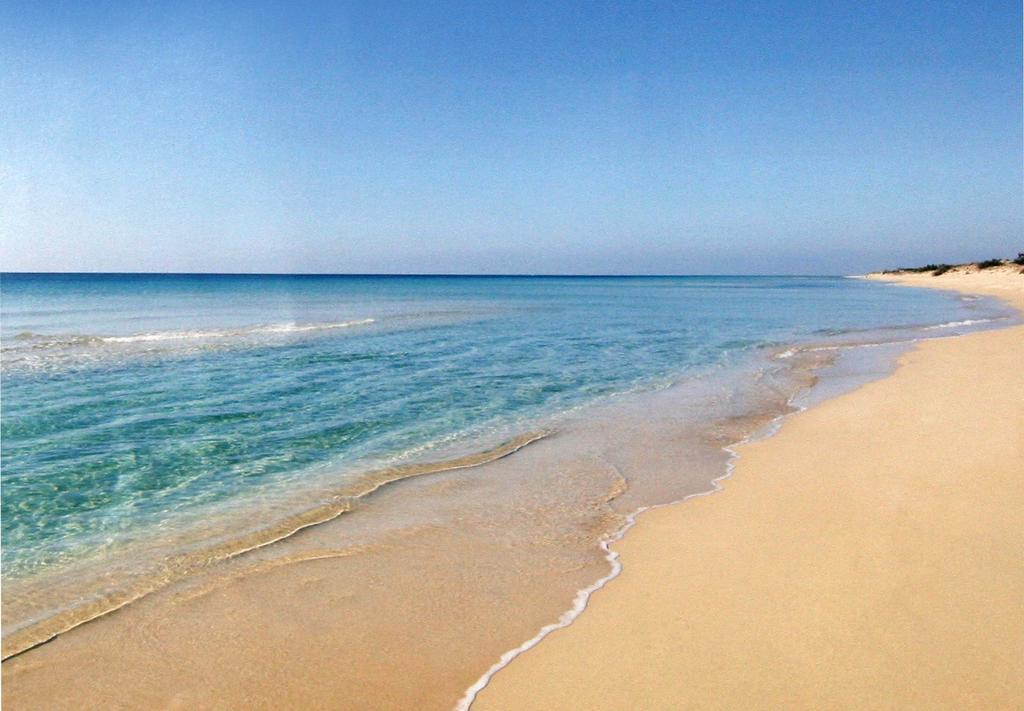 B&B Brezza Marina Torre Pali Dış mekan fotoğraf